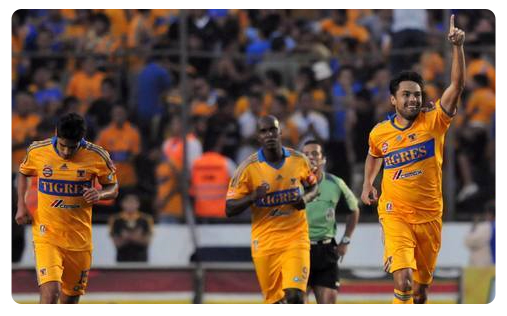 Tigres cartonne et se replace